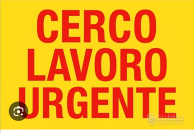 Dama di compagnia per signora