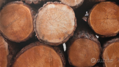 Tronchi di abete rosso e castagno, stagionati