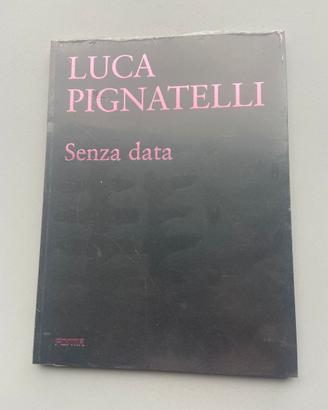 Libro d'arte luca pignatelli