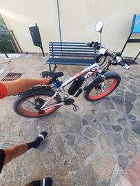 bici elettrica