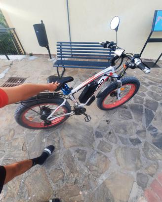 bici elettrica