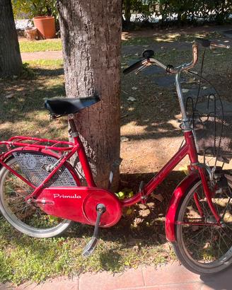 Bicicletta