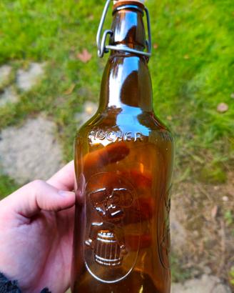 Bottiglie Birra Fischer Biere D'alsace + Tappo