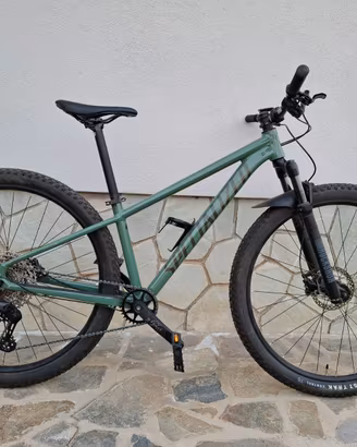 MTB SPECIALIZED ROCKHOPPER ELITE 29 taglia S