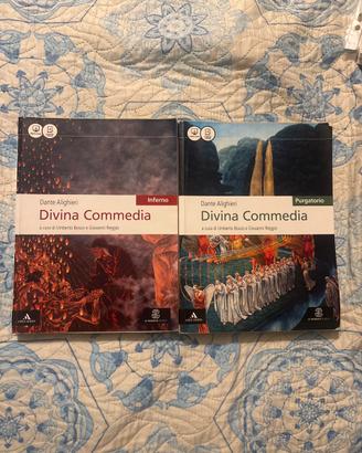 Divina Commedia Inferno e Purgatorio Bosco-Reggio