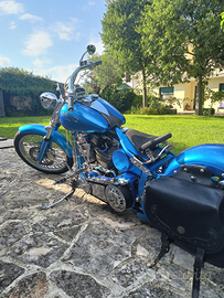 Special Custom Chopper