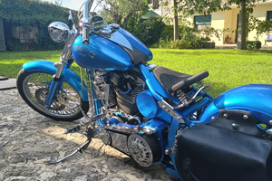 Special Custom Chopper