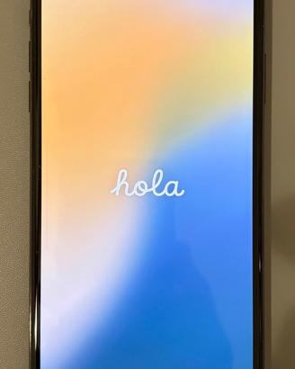 iPhone XS Max 256GB