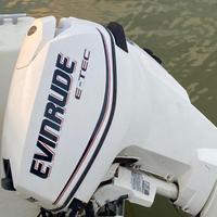 Motore fuoribordo Evinrude e-tec 30cv