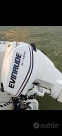 Motore fuoribordo Evinrude e-tec 30cv