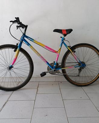 Mountain bike