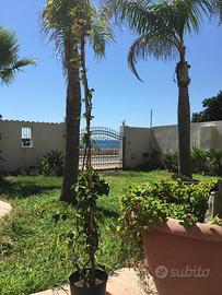 Casa vacanza Mare Mazara del Vallo