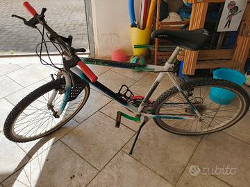 Bici Mountain bike 