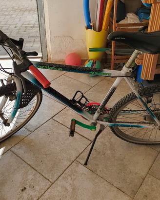 Bici Mountain bike 