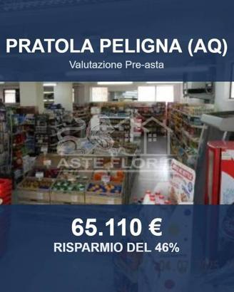 Immobile in asta di 108 m² a Pratola Peligna