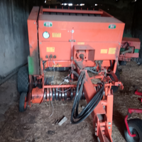 Rotopressa gallignani