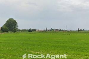 CAPANONNE CON AMPIO TERRENO