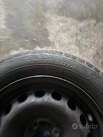 Gomme e cerchi fiat Panda 2021