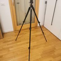 Cavalletto Manfrotto + testa a sfera