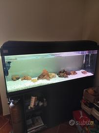 acquario