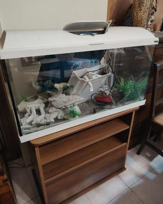 Acquario 
