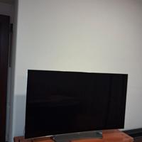Televisore smart LG55EG910V