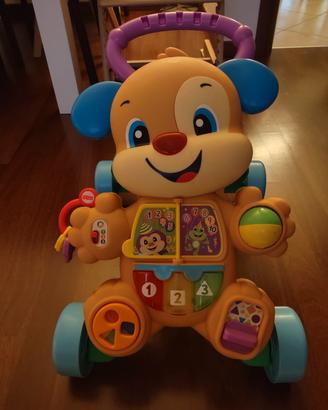 Fisher-Price primi passi 6 mesi in su
