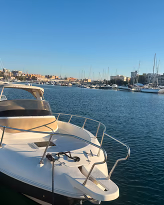 Barca Cabinato Petrachi 7.80