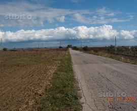 Terreno Agricolo 14.300 mq Termoli