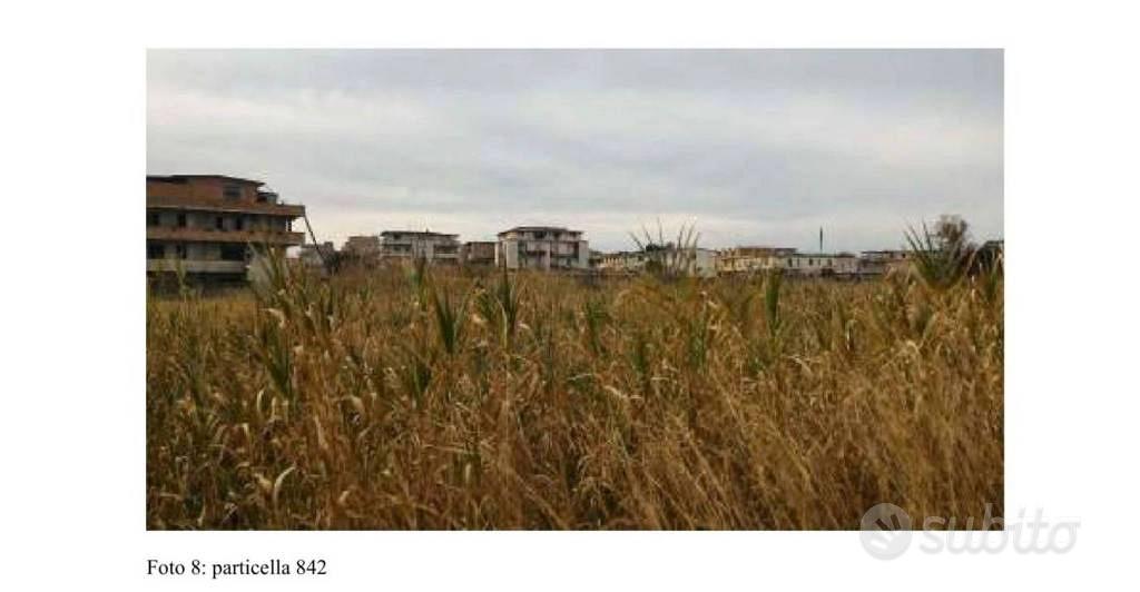 Immobile in asta di 8923 m² a Gioia Tauro - Vista 4