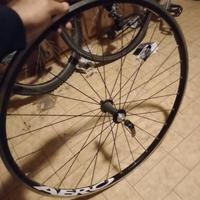 Cerchi ruote bici da corsa triban pattino