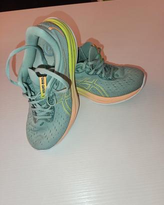 ASIC PUREGEL