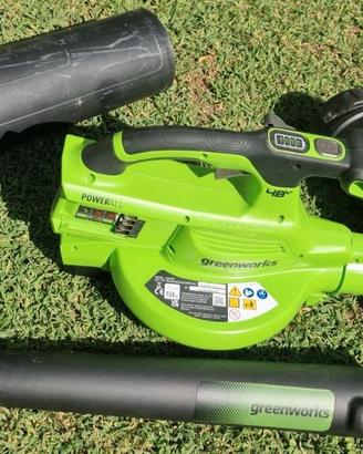 Greenworks 48V(24V x 2) Aspirafoglie Soffiatore