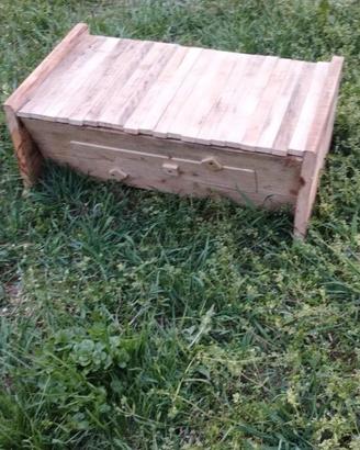 Top bar completa di telaini