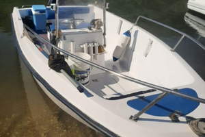 Barca a motore impeccabile