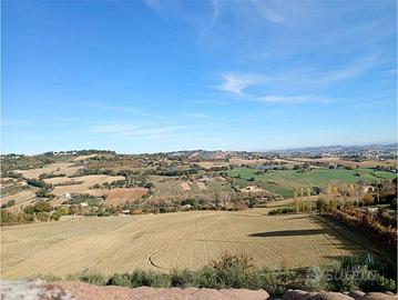 V002791 Terreno agricolo
