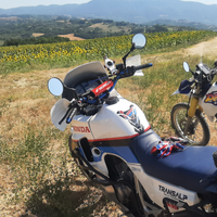 Honda Transalp 600 Special Adventouring