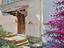 Immagine 14