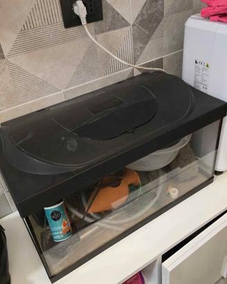 acquario nuovo 60 lt tetra