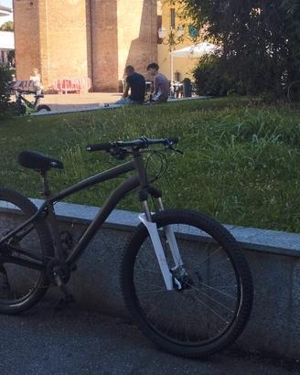 Rockrider St120 Modificata(Vedere Descrizione)