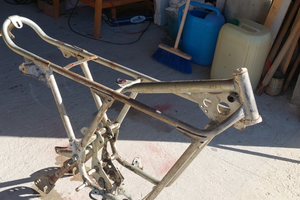 Testi Champion telaio con libretto verde