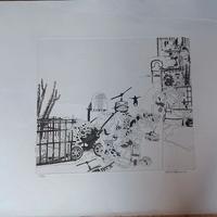 Acquaforte numerata di Attilio Steffanoni