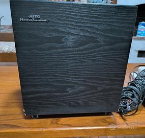 Subwoofer, diffusore per toni bassi e bassissimi