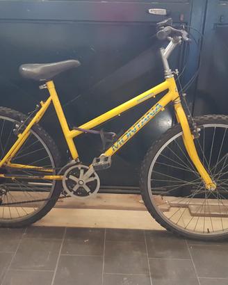 Mountain Bike Vintage MONTANA Anni '90