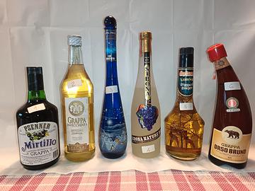 Varie bottiglie di grappa