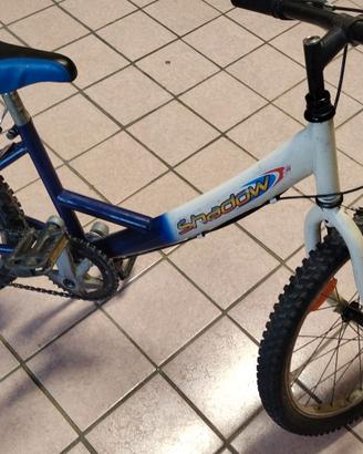 Bicicletta Bambino 20 pollici