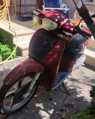 Scarabeo 50 2T