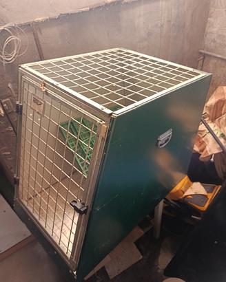gabbia auto cane