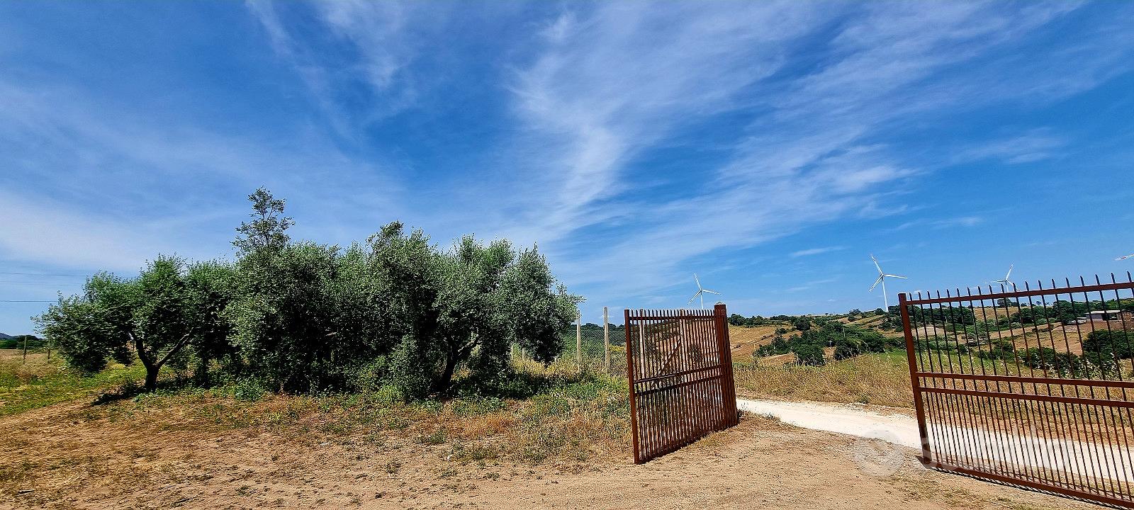 Terreno 3 ettari - Vista 4