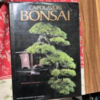 bonsai riviste e libri